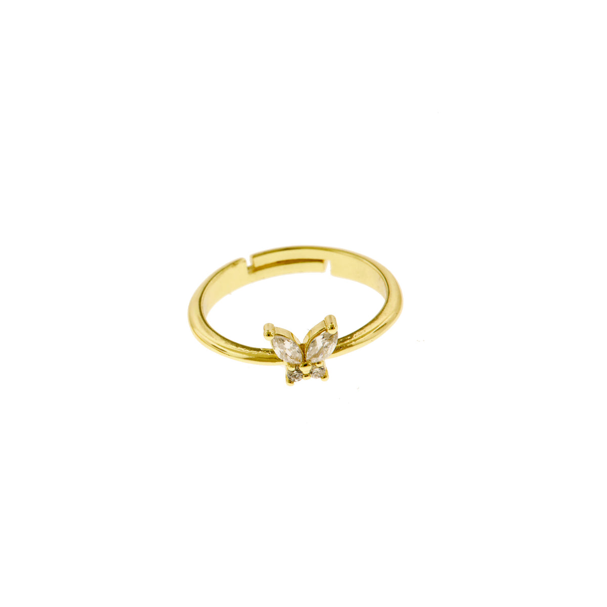 Anillo Ravena